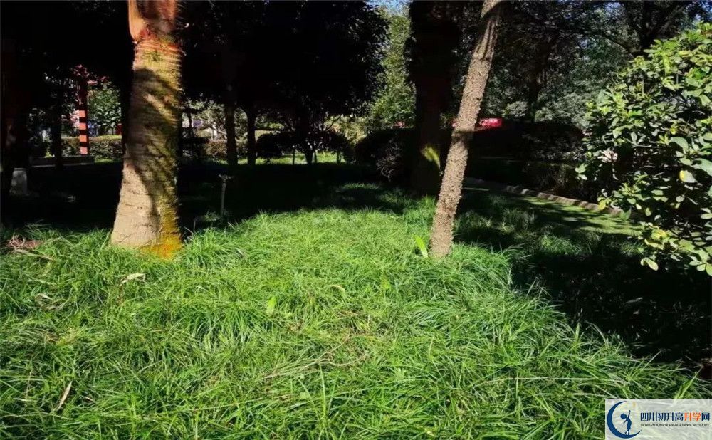 2020成都三十六中三診試題答案在哪看？