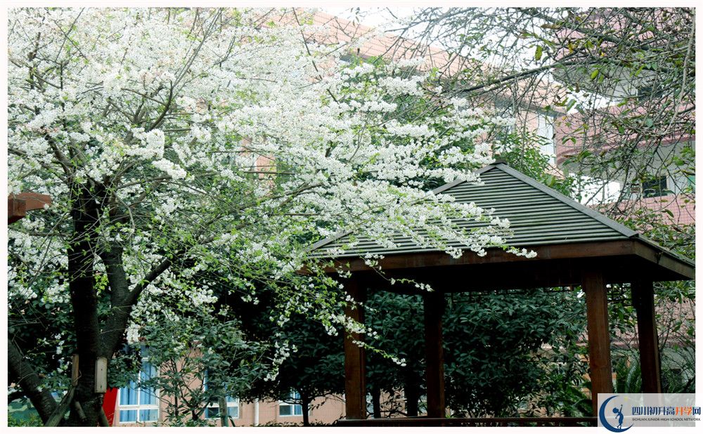 成都三十六中在校學生總?cè)藬?shù)是多少？