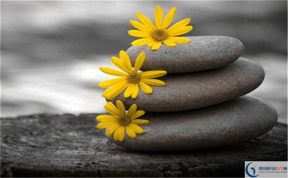 2020年武侯高級中學美術(shù)班學費是多少？